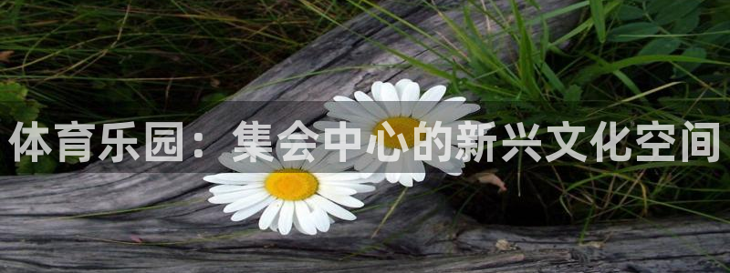 米兰体育最新版下载