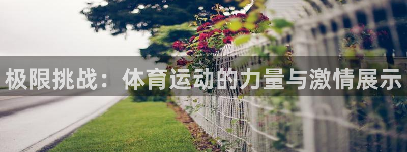 米兰体育官网